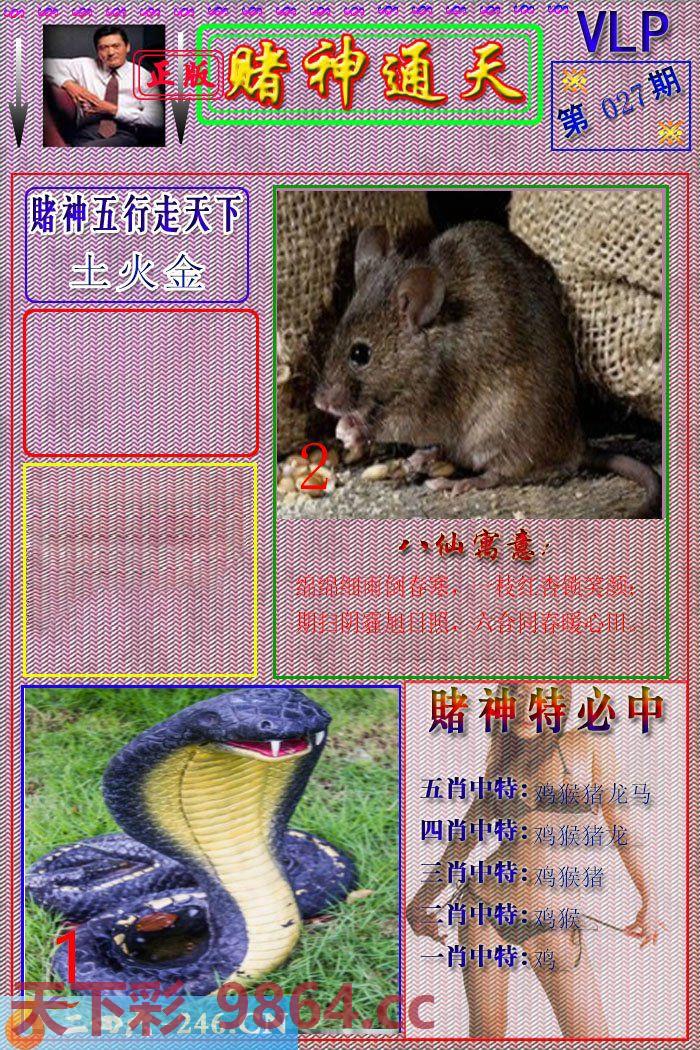 ：赌神通天报